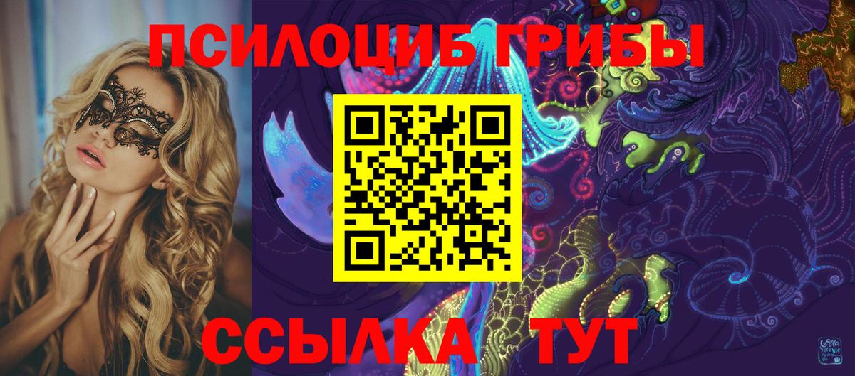 Псилоцибиновые грибы мицелий  купить закладку  Ревда  Вход с VPN 